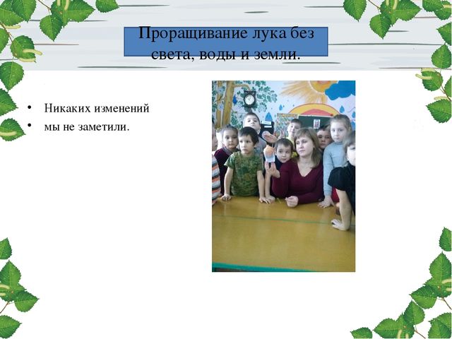 Презентация проекта. Лук здоровью друг.