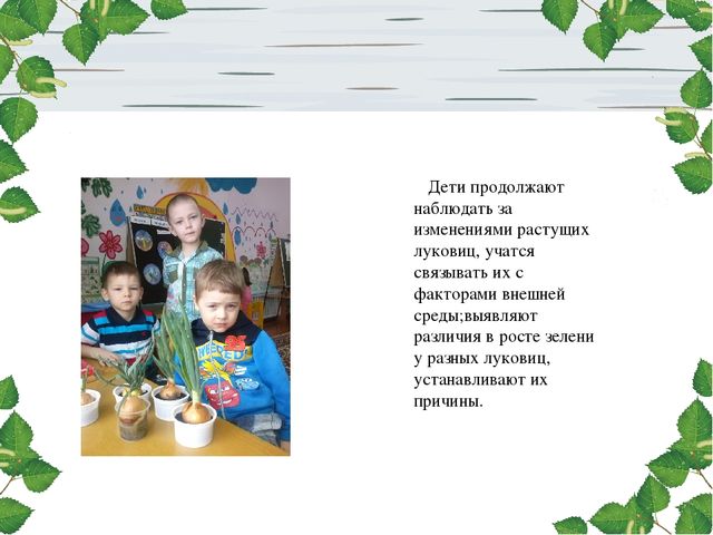 Презентация проекта. Лук здоровью друг.