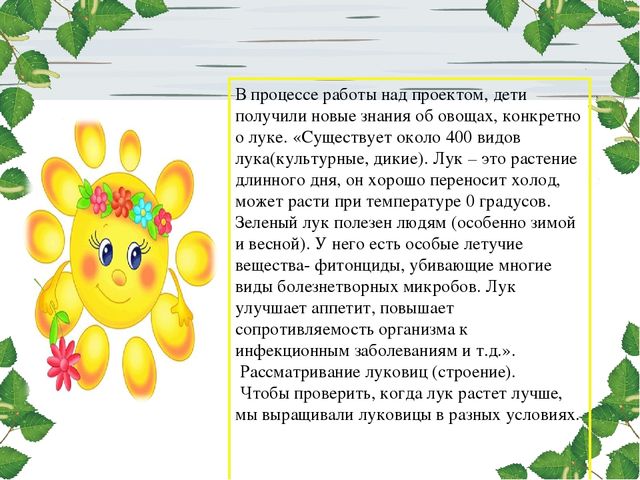 Презентация проекта. Лук здоровью друг.