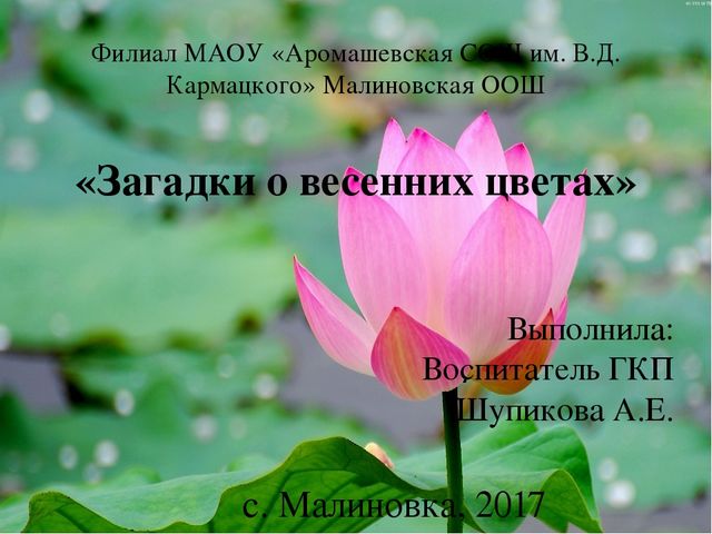 Презентация по окружающему миру "Загадки о весенних цветах"