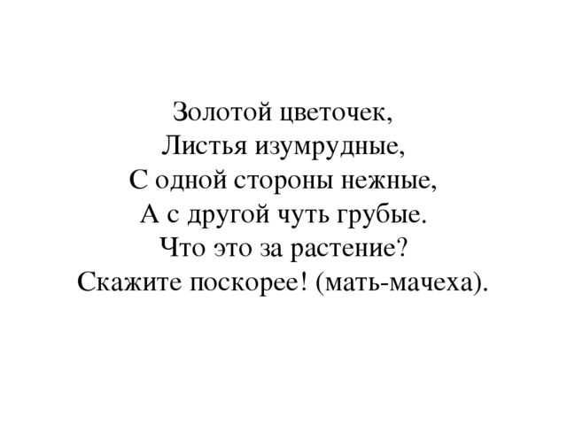 Презентация по окружающему миру "Загадки о весенних цветах"
