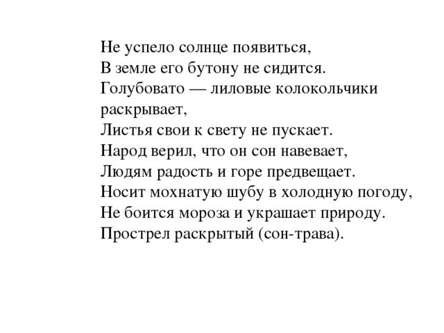Презентация по окружающему миру "Загадки о весенних цветах"