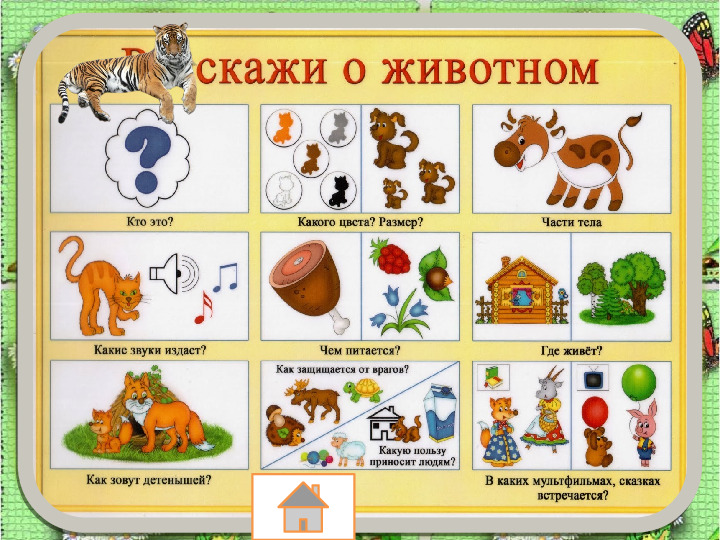 Занятие по развитию речи «Составление описательного рассказа животных с использованием схемы»