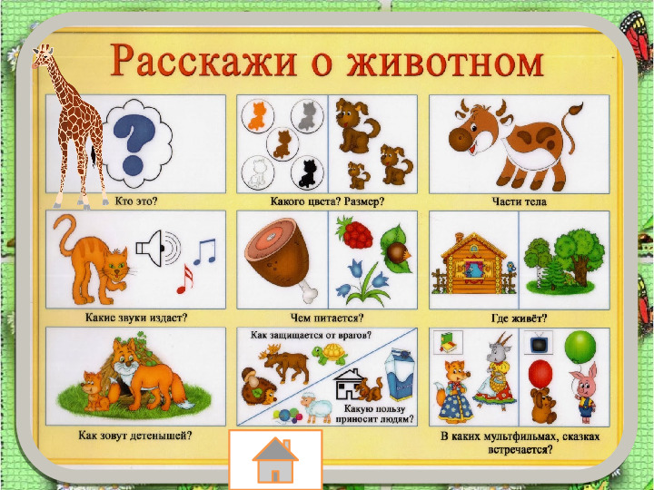 Занятие по развитию речи «Составление описательного рассказа животных с использованием схемы»