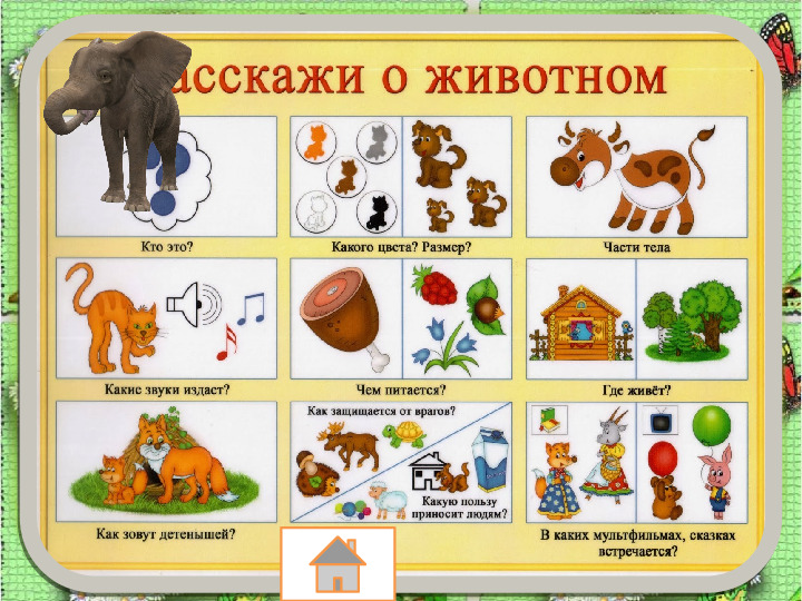 Занятие по развитию речи «Составление описательного рассказа животных с использованием схемы»