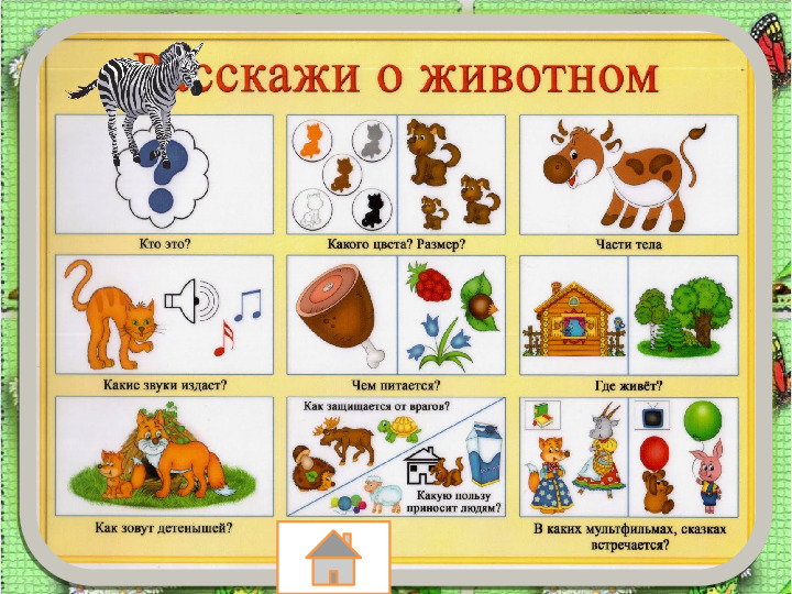 Занятие по развитию речи «Составление описательного рассказа животных с использованием схемы»