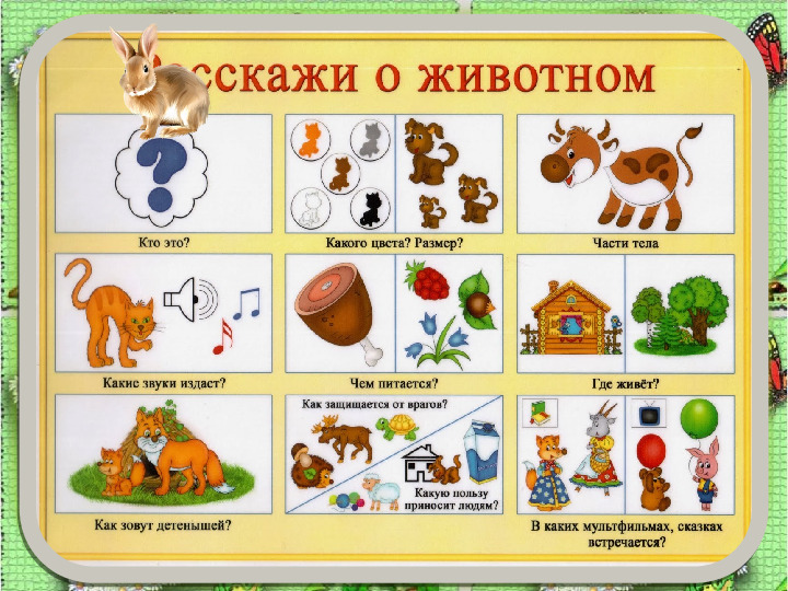 Занятие по развитию речи «Составление описательного рассказа животных с использованием схемы»