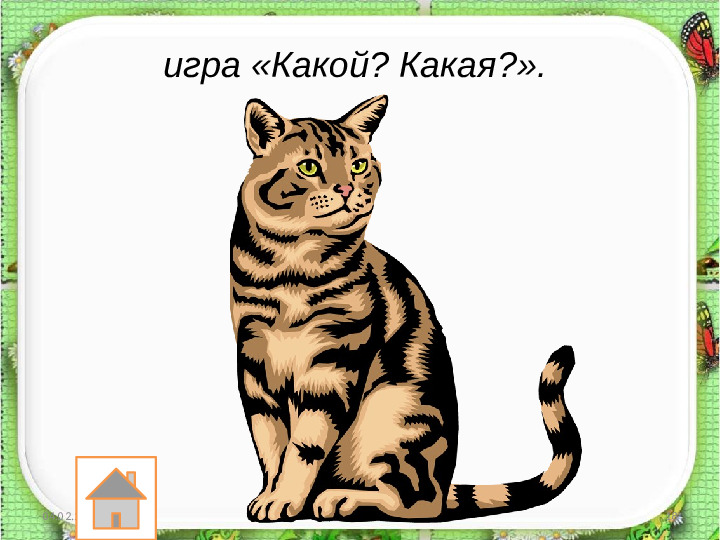 Занятие по развитию речи «Составление описательного рассказа животных с использованием схемы»