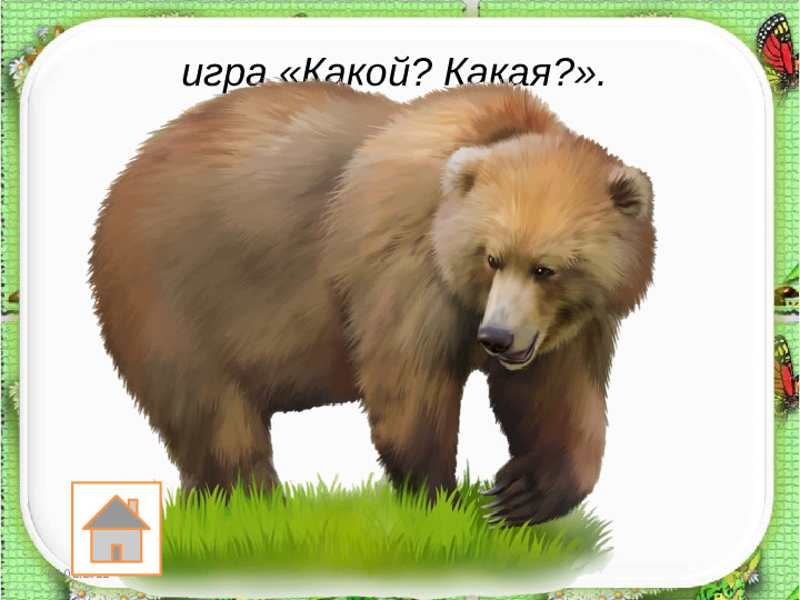 Занятие по развитию речи «Составление описательного рассказа животных с использованием схемы»