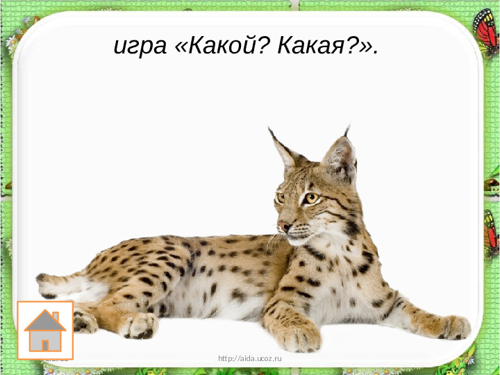 Занятие по развитию речи «Составление описательного рассказа животных с использованием схемы»