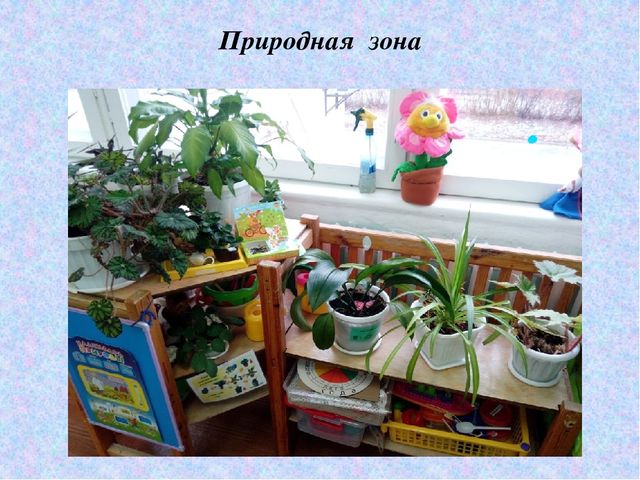 Презентация «Организация развивающей предметно-пространственной среды в соответствии с ФГОС»