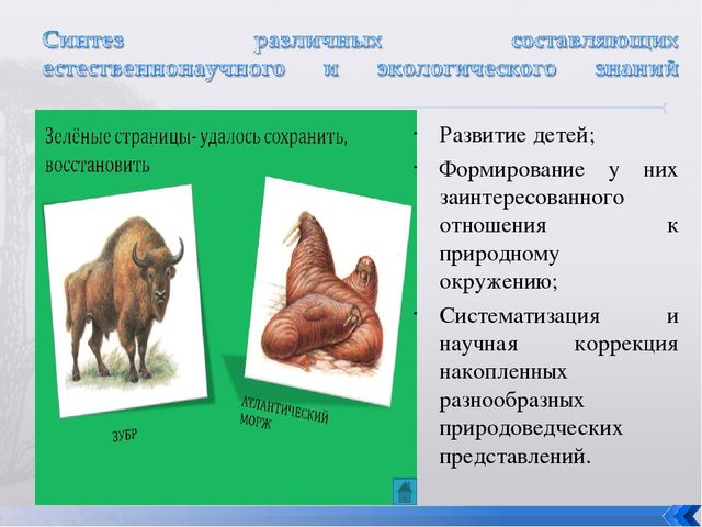 Презентация "Родительское собрание по предшкольной подготовке"