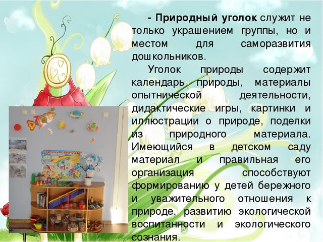 Презентация "Организация предметно-развивающая среда в подготовительной группе