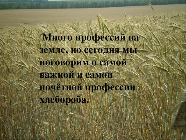 Презентазия на тему "Хлеборобы"