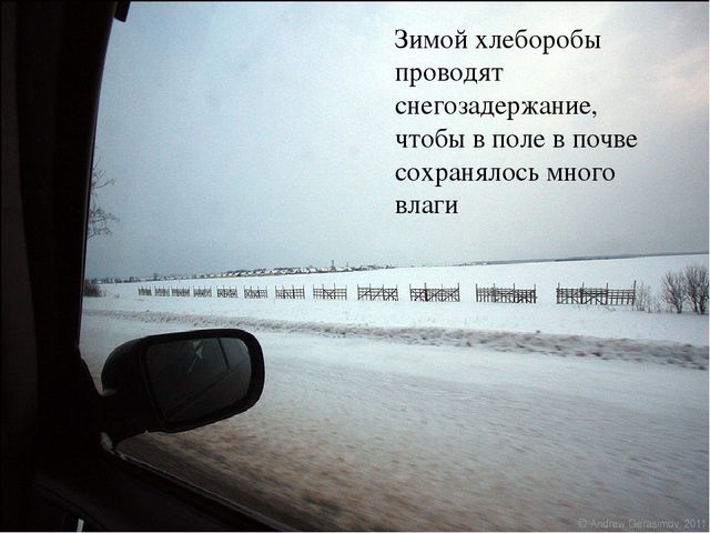 Презентазия на тему "Хлеборобы"