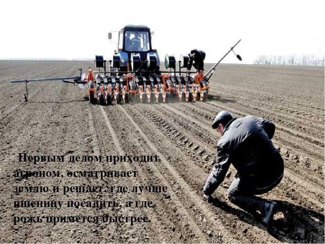 Презентазия на тему "Хлеборобы"