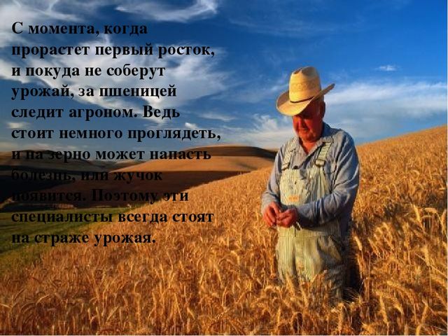 Презентазия на тему "Хлеборобы"