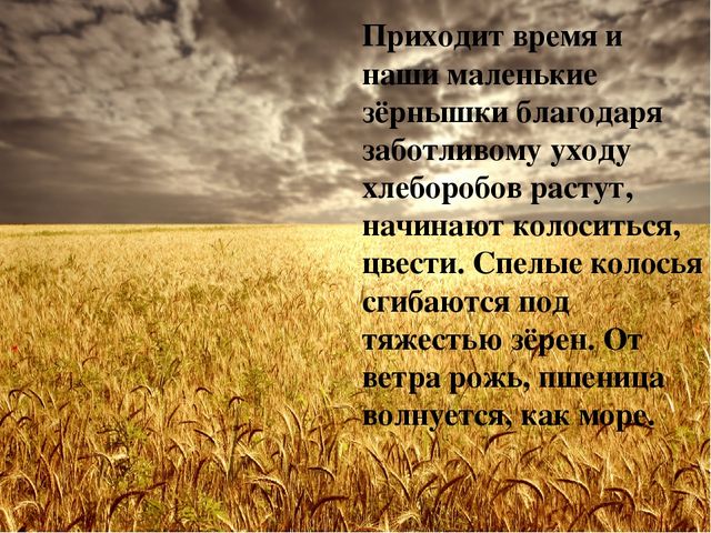 Презентазия на тему "Хлеборобы"