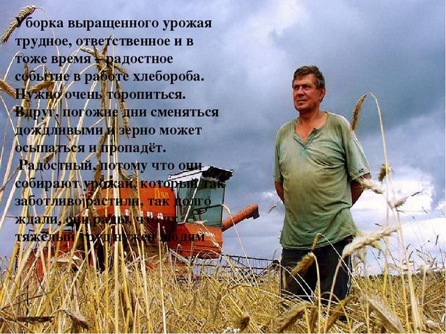 Презентазия на тему "Хлеборобы"