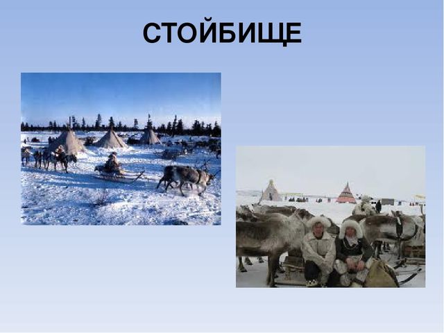 Презентация к занятию по краеведению «Жизнь и быт народов Севера».