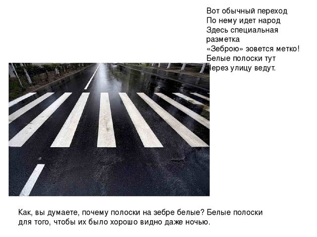 Презентация ННОД в средней группе "Путешествие по Городу дорожных знаков"