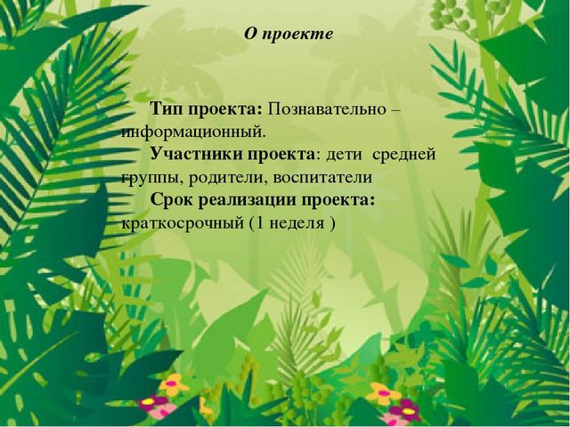 Проект в средней группе на тему:"В мире динозавров".