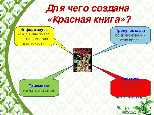 "Красная книга растений пензенской области"