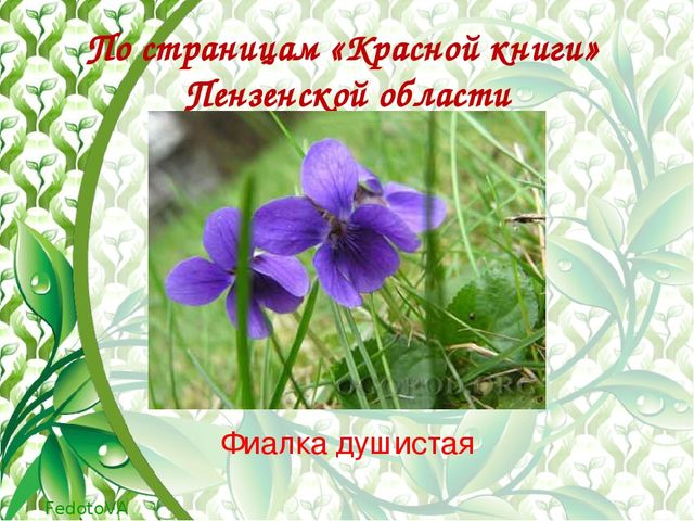 "Красная книга растений пензенской области"