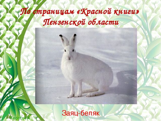 "Красная книга растений пензенской области"