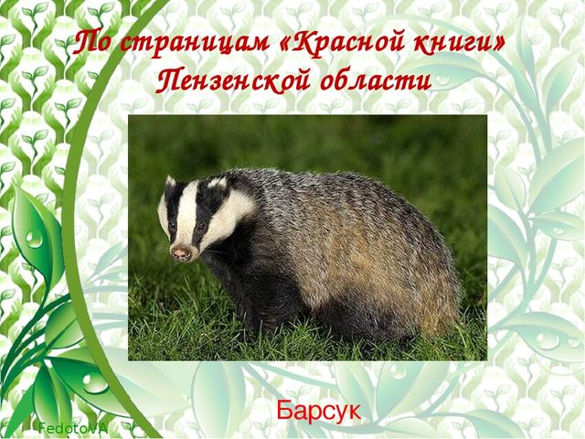 "Красная книга растений пензенской области"