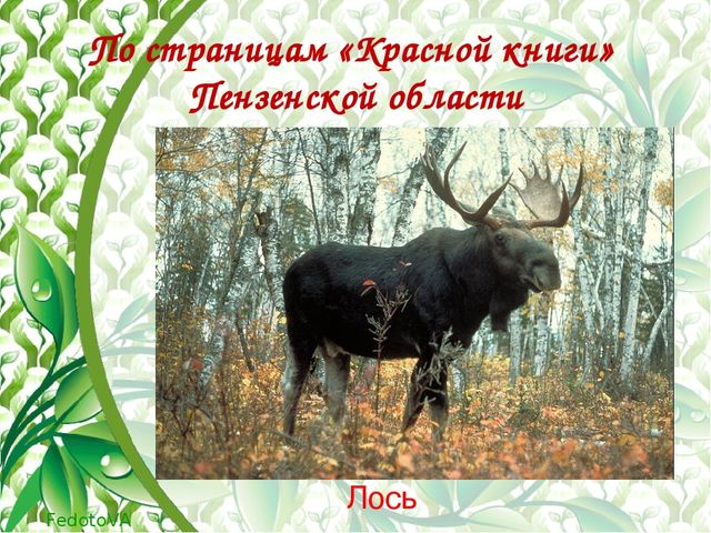 "Красная книга растений пензенской области"