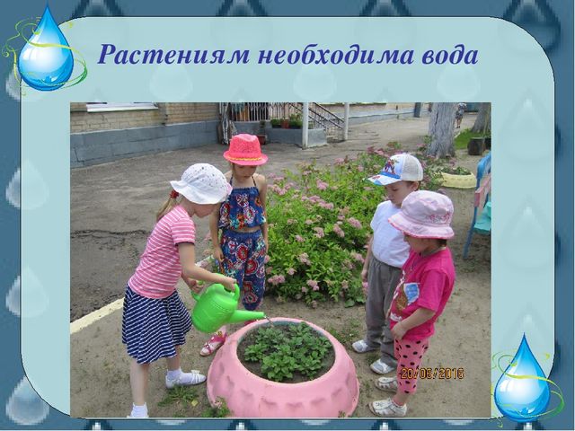 Проект в средней группе "Водичка"