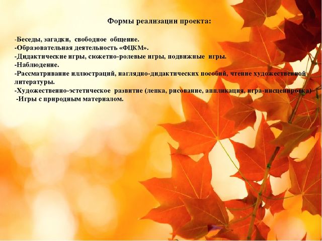 Педагогический проект во второй группе раннего возраста "Золотая осень"