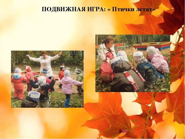 Педагогический проект во второй группе раннего возраста "Золотая осень"