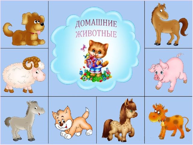 Презентация к конспекту домашние животные