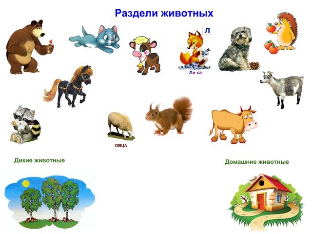 Презентация к конспекту домашние животные