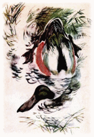 Picture 160