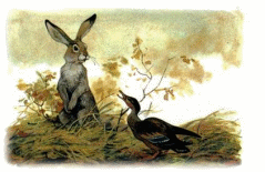 Picture 87