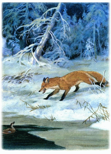 Picture 90