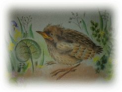 Picture 1