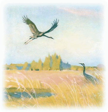 Picture 35