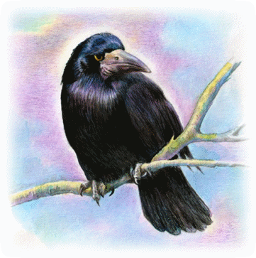 Picture 28