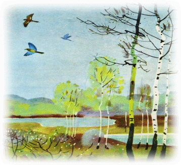 Picture 31