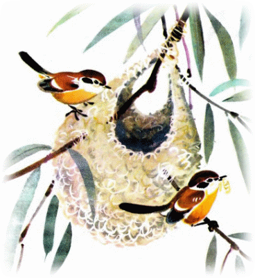 Picture 17