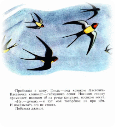Picture 20