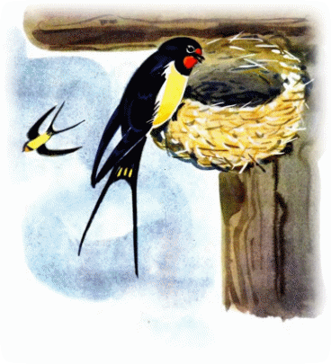 Picture 23