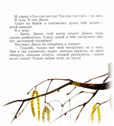 Picture 32
