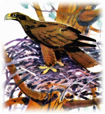 Picture 41