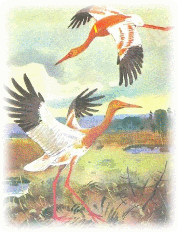 Picture 237