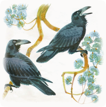 Picture 63